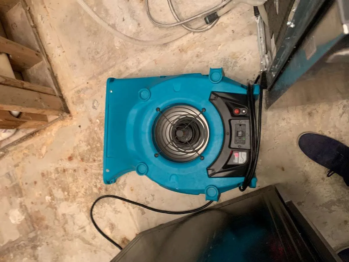 Air mover drying equipment for Mold Remediation & Removal in Hillsborough