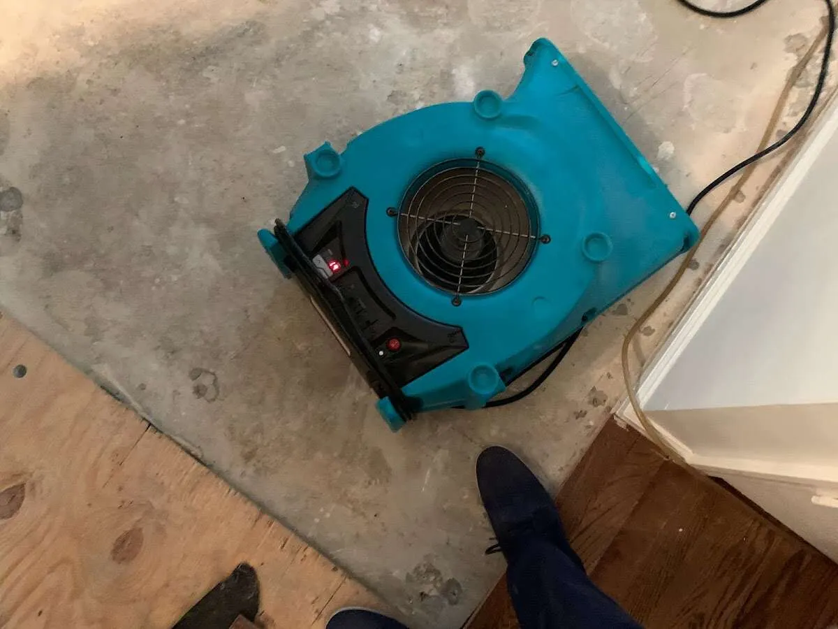 Air mover drying subfloor during Leak Detection & Repair in Hillsborough